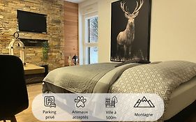 Studio Chalet Cosy Gérardmer